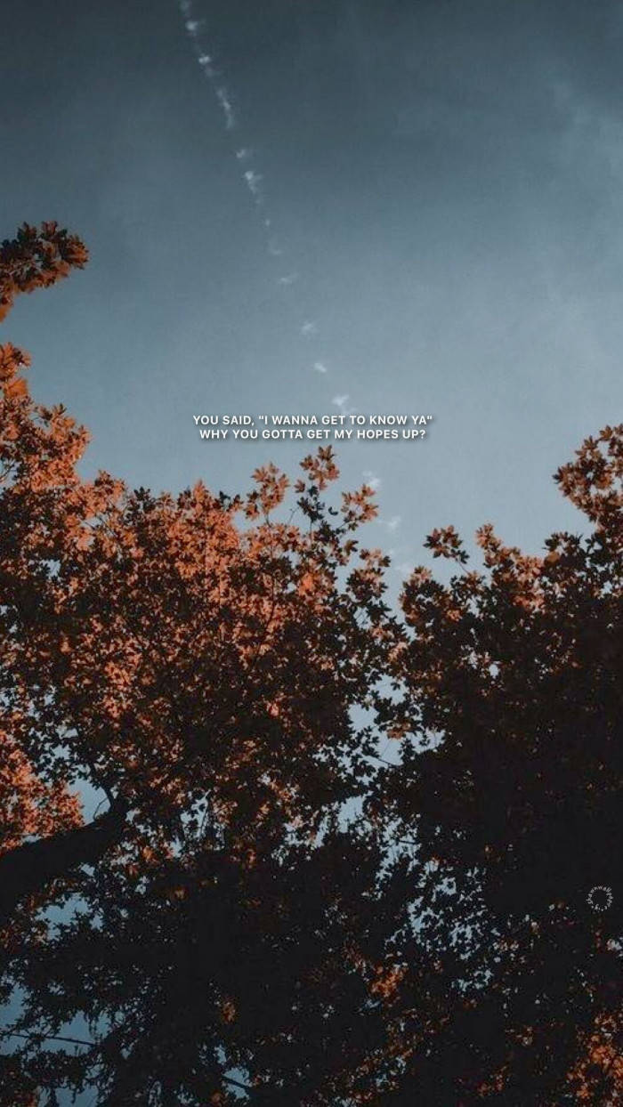 Autumn Aesthetic Tumblr Quotes Wallpaper