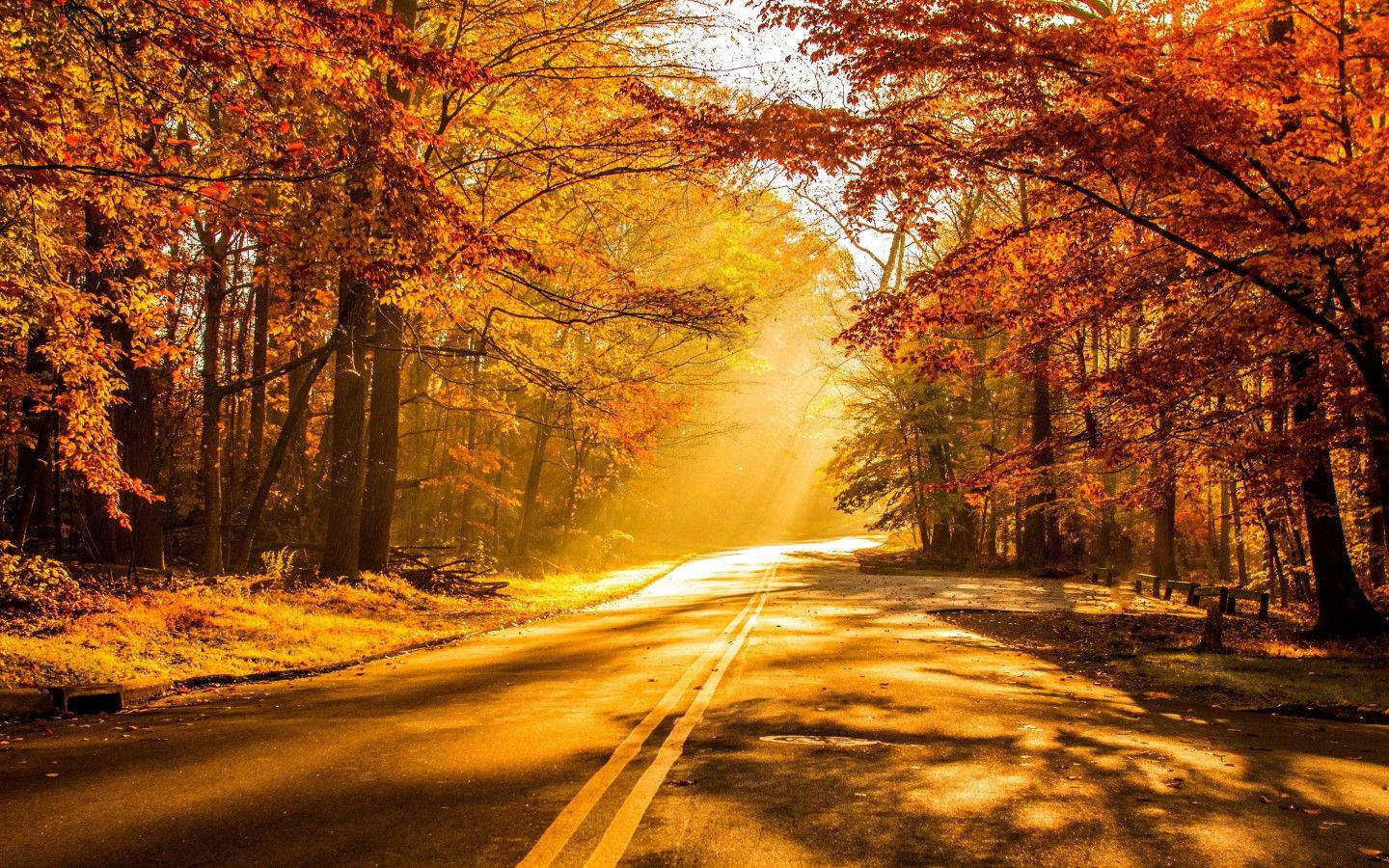 Autumn Country Road During Sunset Wallpaper