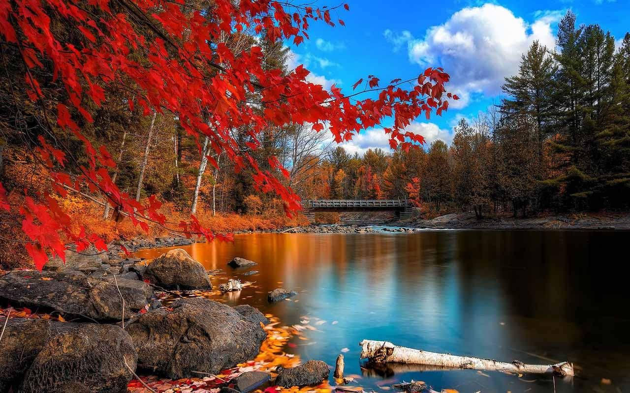 Autumn Lake And Colorful Trees Wallpaper