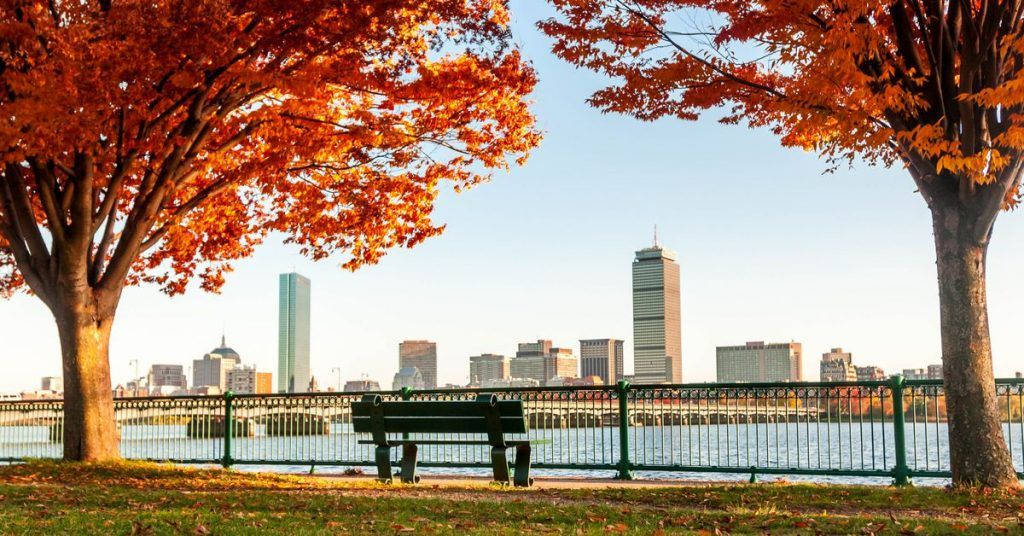 Autumn Trees In Boston Wallpaper