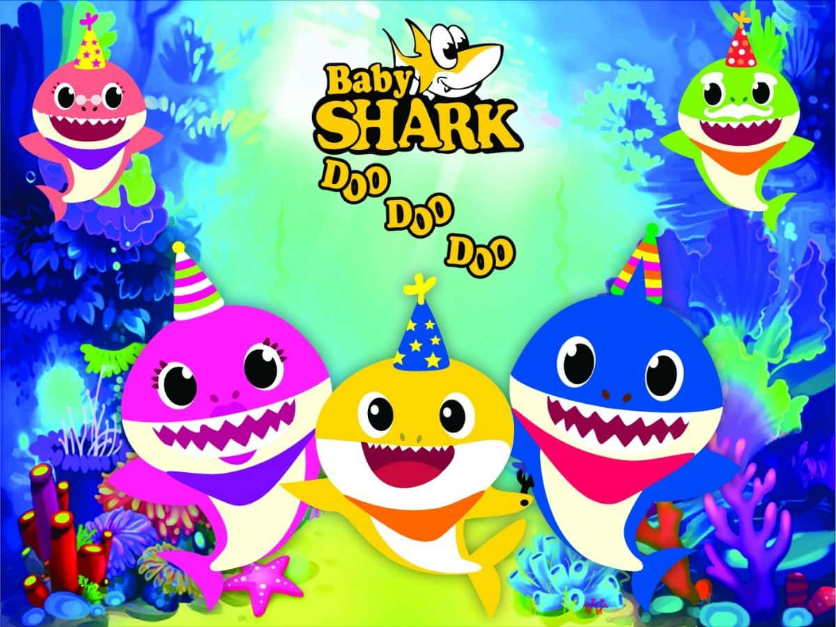 Baby Shark, Doo Doo Doo Doo Doo Doo Wallpaper