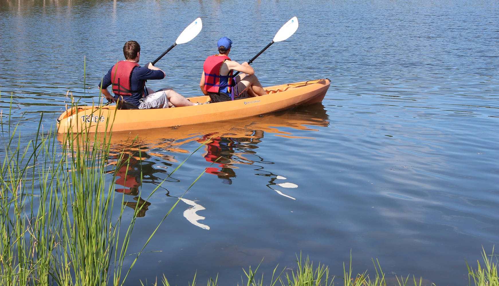 Back Shot Canoeing Wallpaper