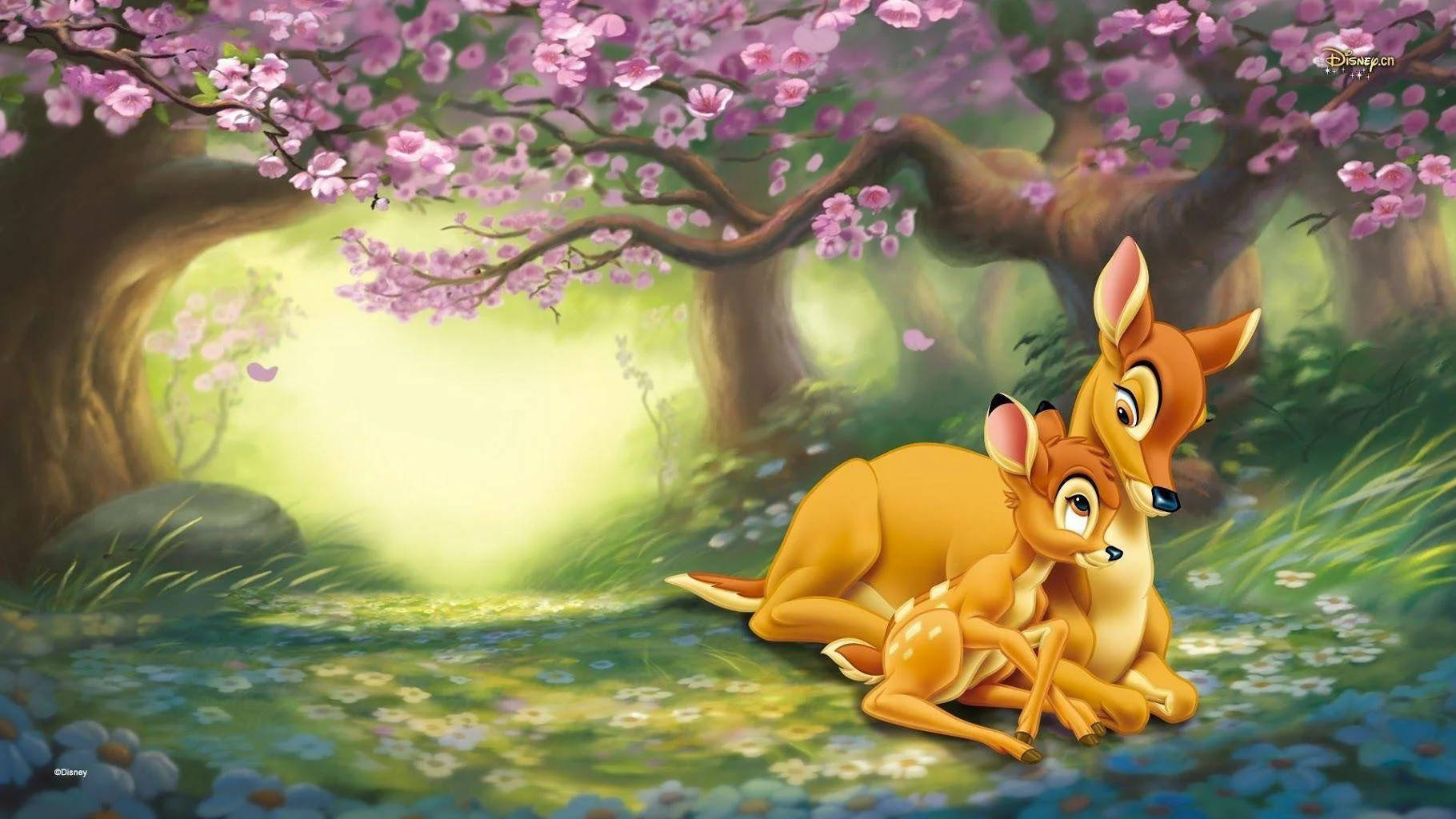 Bambi And Her Mother Deer Wallpaper