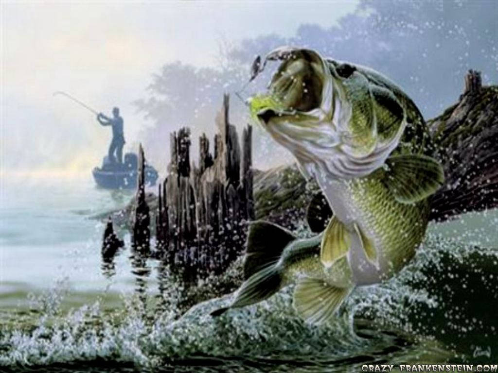 Bass Fishing In Lake Wallpaper