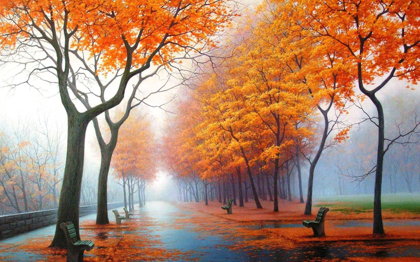 Beautiful Autumn Trees Scenery Wallpaper