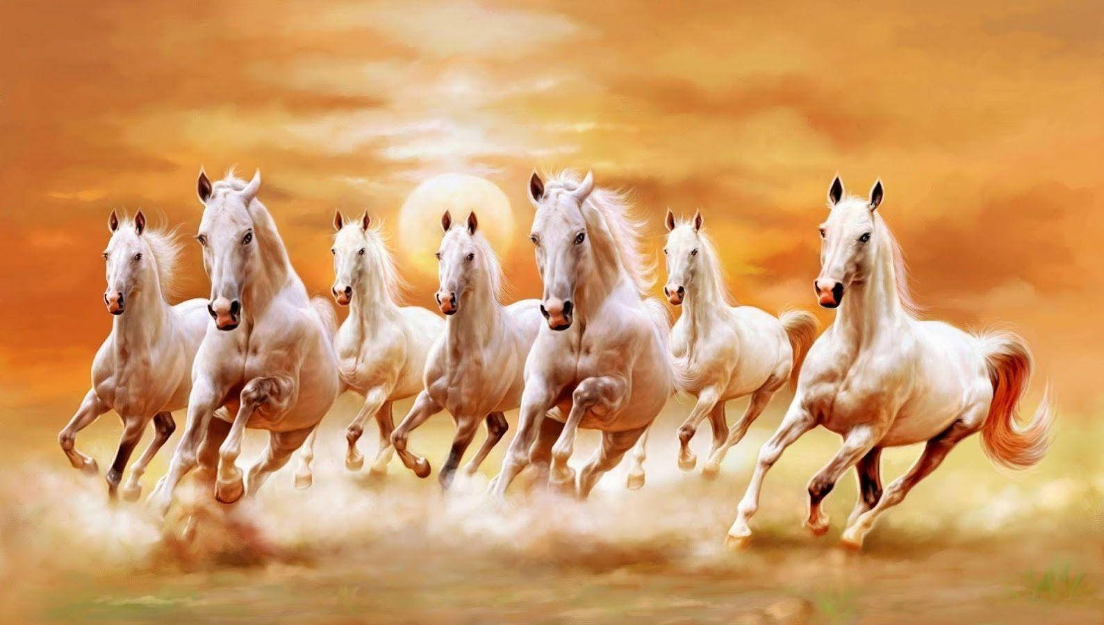 Beautiful Horses And Orange-tinted Sky Wallpaper