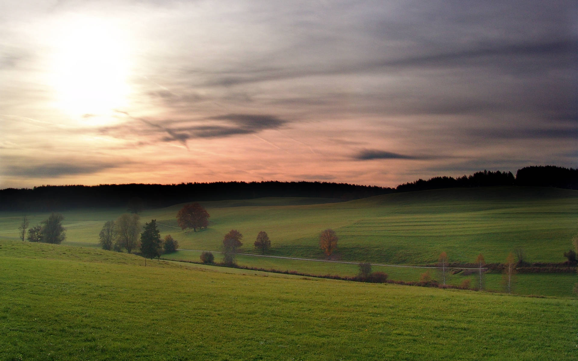 Beautiful Landscape Misty Grassland Wallpaper