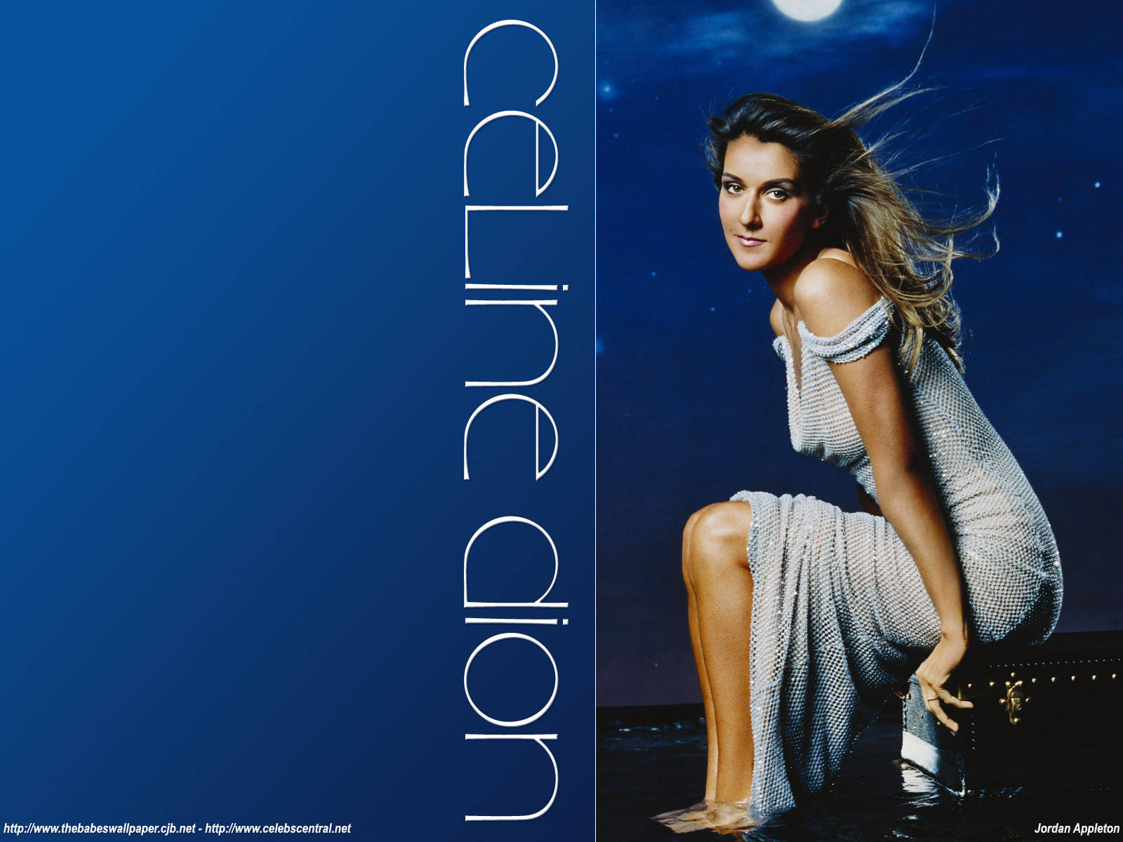 Beautiful Night With Celine Dion Wallpaper