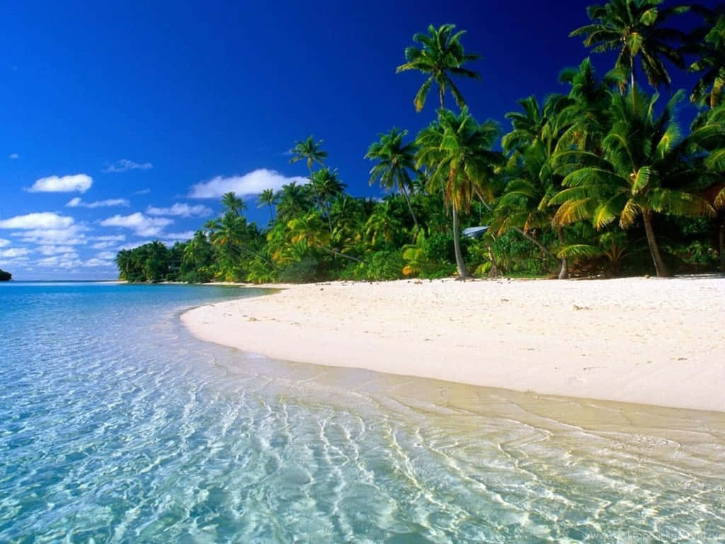 Beautiful Sea Tropical White Beach Wallpaper