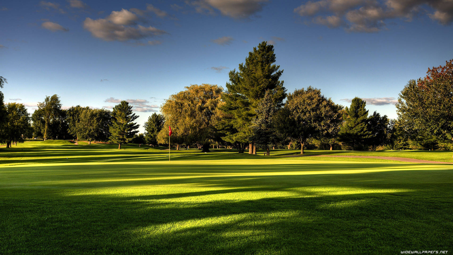 Beautiful Trees In Golf Course Wallpaper
