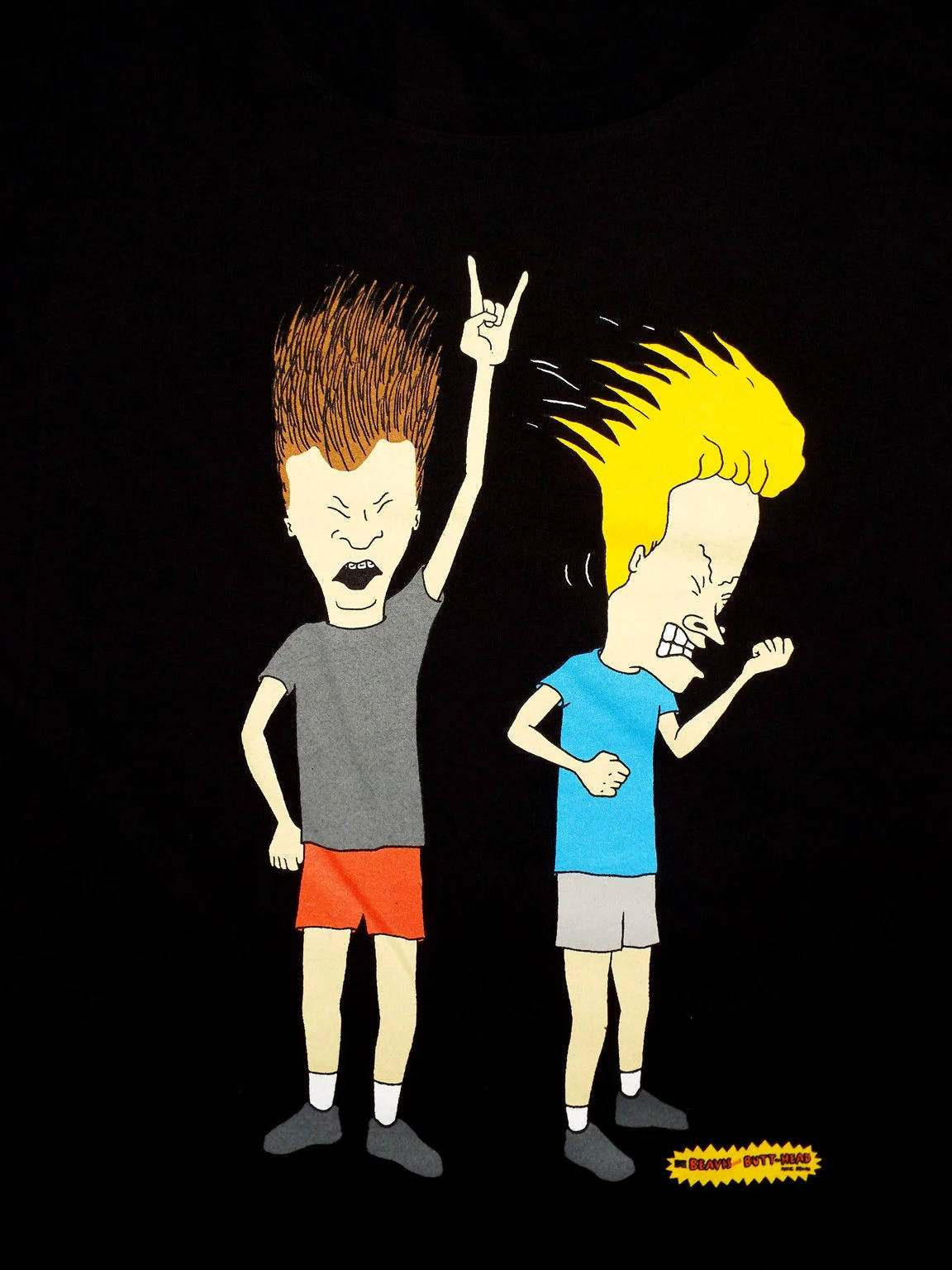 Beavis And Butt Head Rock 'n Roll Wallpaper