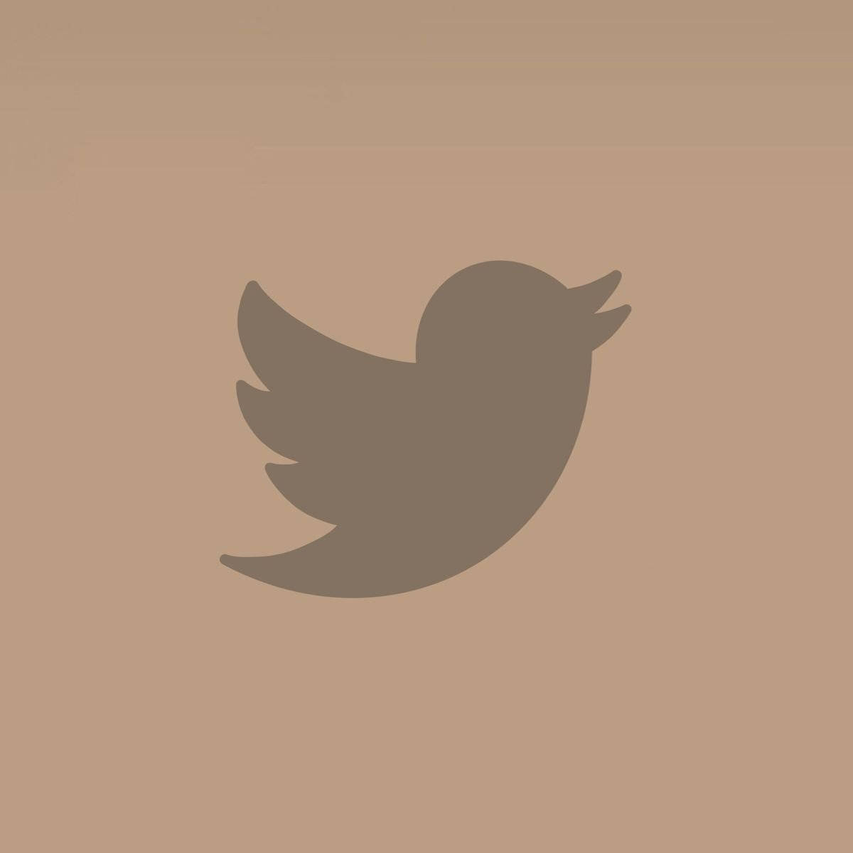 Beige And Brown Twitter Logo Wallpaper