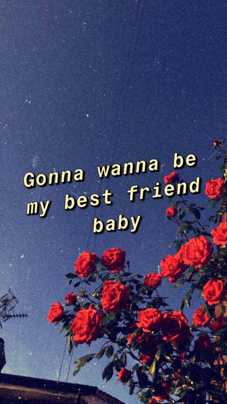 Best Friend Aesthetic Rex Orange County Wallpaper