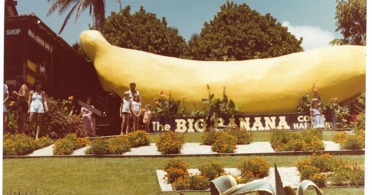 Big Banana Fun Park Wallpaper