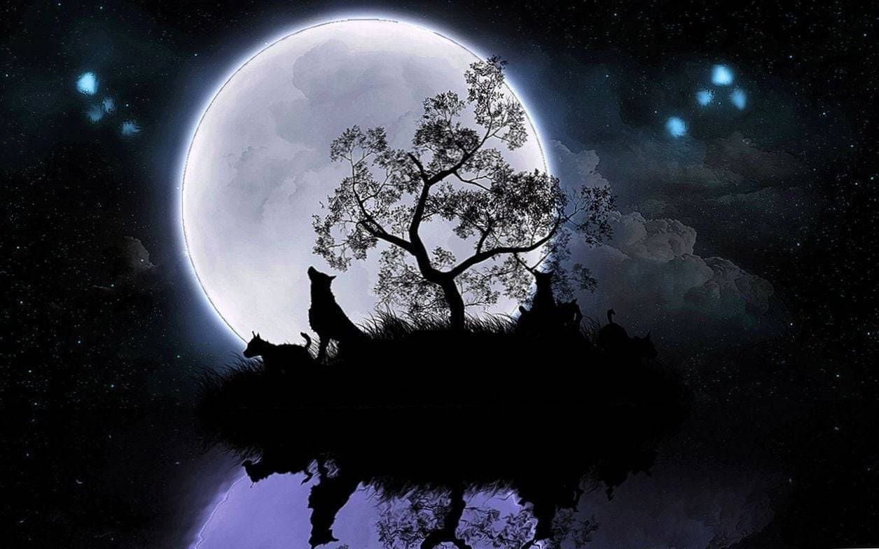 Big Beautiful Moon With A Howling Wolf Wallpaper