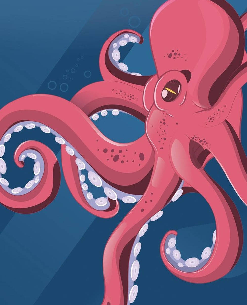 Big Pink Calamari Clipart Wallpaper