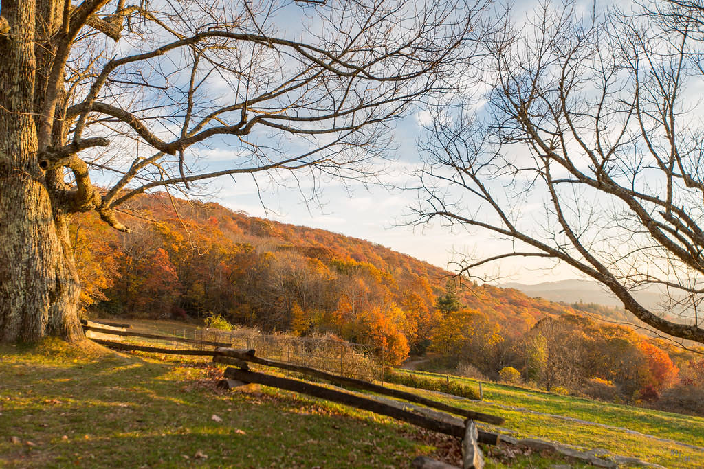 Bike Park North Carolina Wallpaper