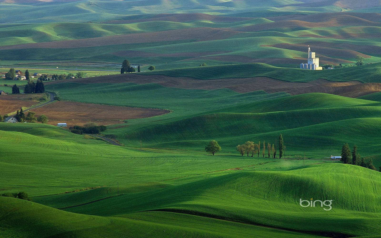 Bing Green Landscape Wallpaper