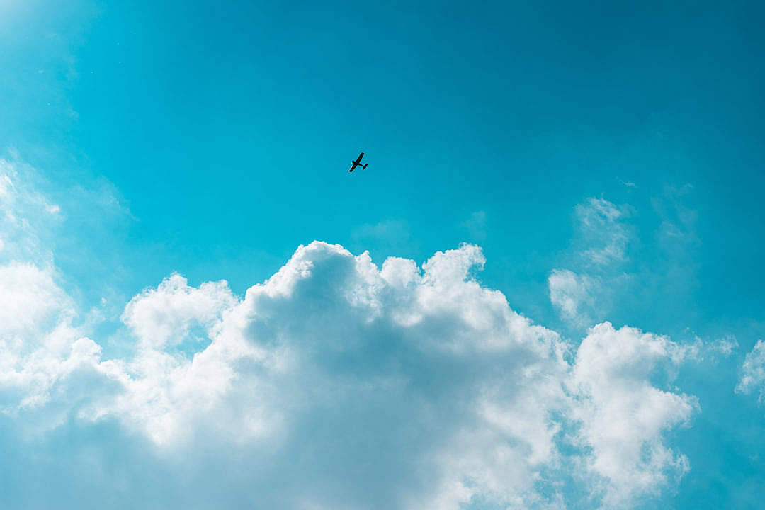 Bird Clouds Aesthetics Wallpaper