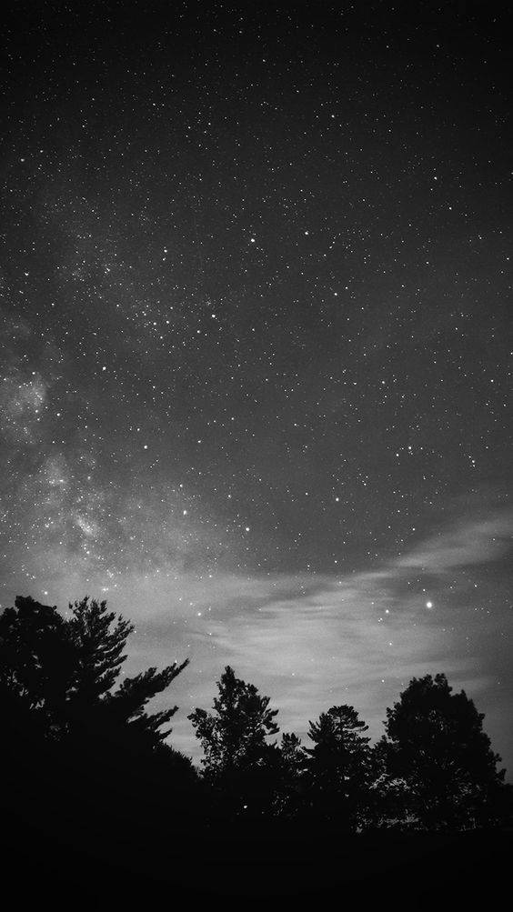 Black Aesthetic Iphone Trees And Stars Wallpaper