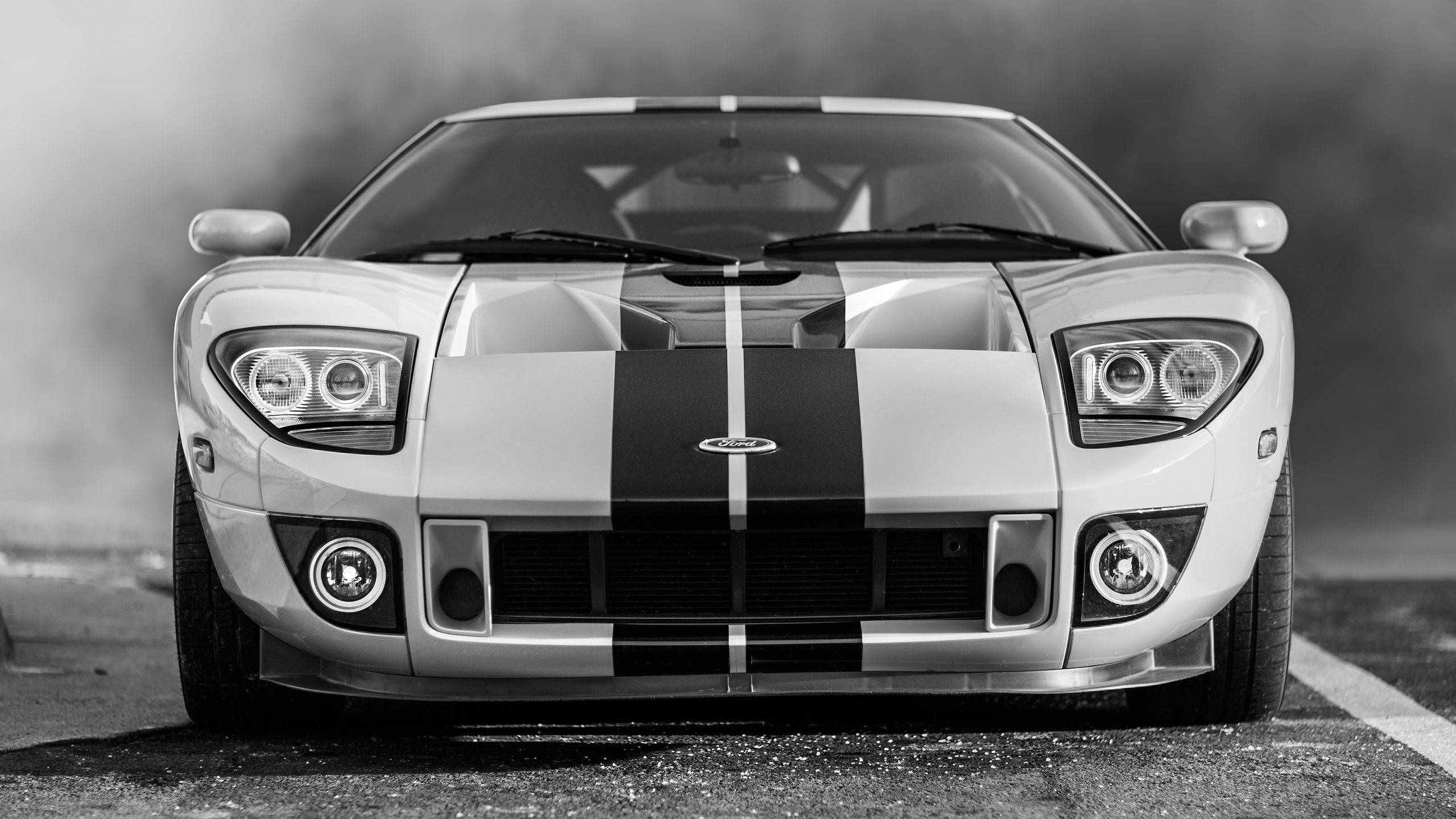 Black And White Ford Gt Wallpaper
