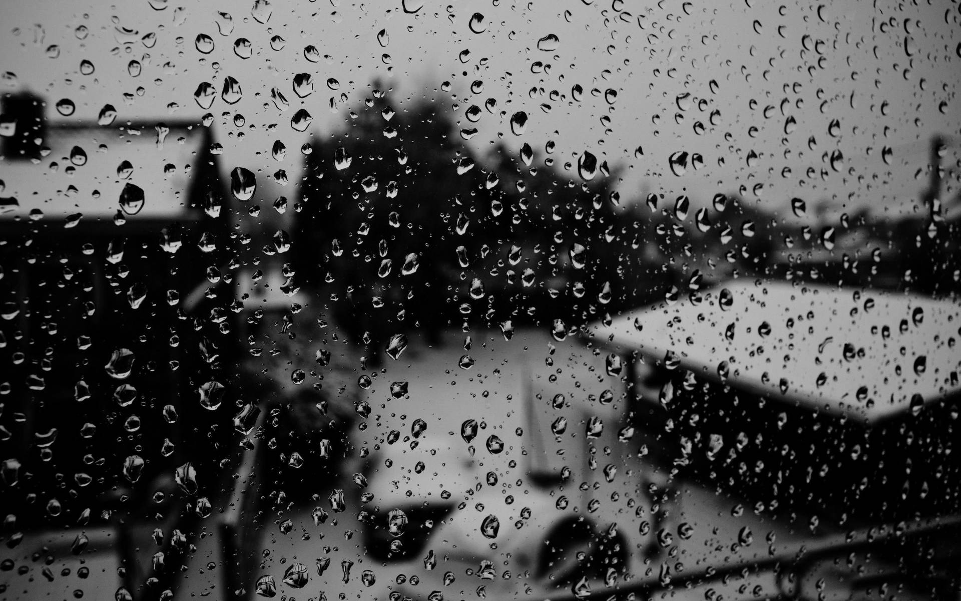 Black And White Raindrops On A Glass Surface Wallpaper