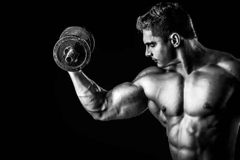 Black And White Stock Hd Bodybuilders Wallpaper