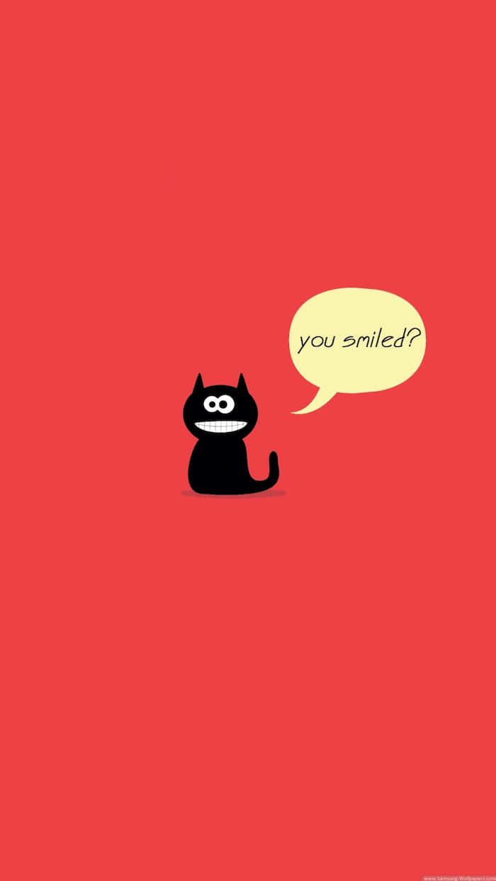 Black Cat With A Hilarious Smile Wallpaper