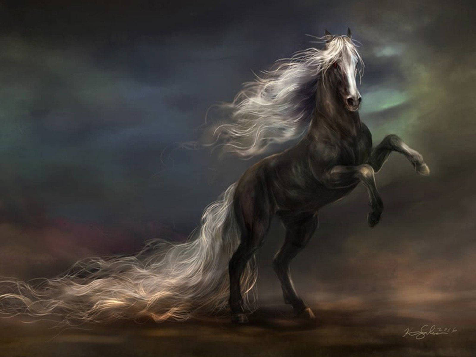 Black Horse Digital Art Wallpaper