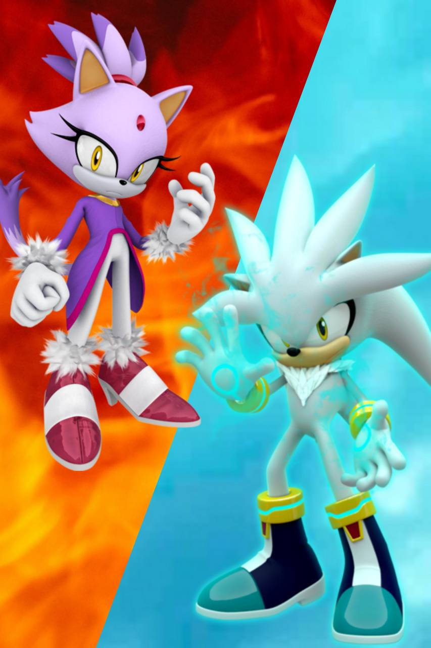 Blaze The Cat And Silver Wallpaper