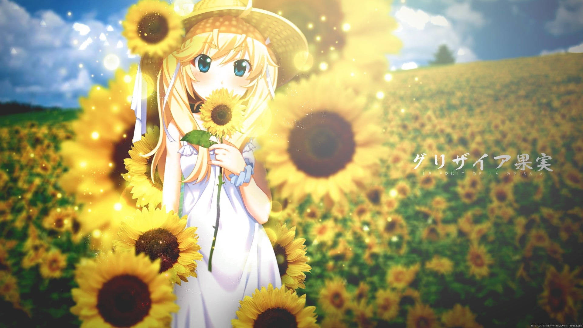 Blonde Sunflower Laptop Wallpaper