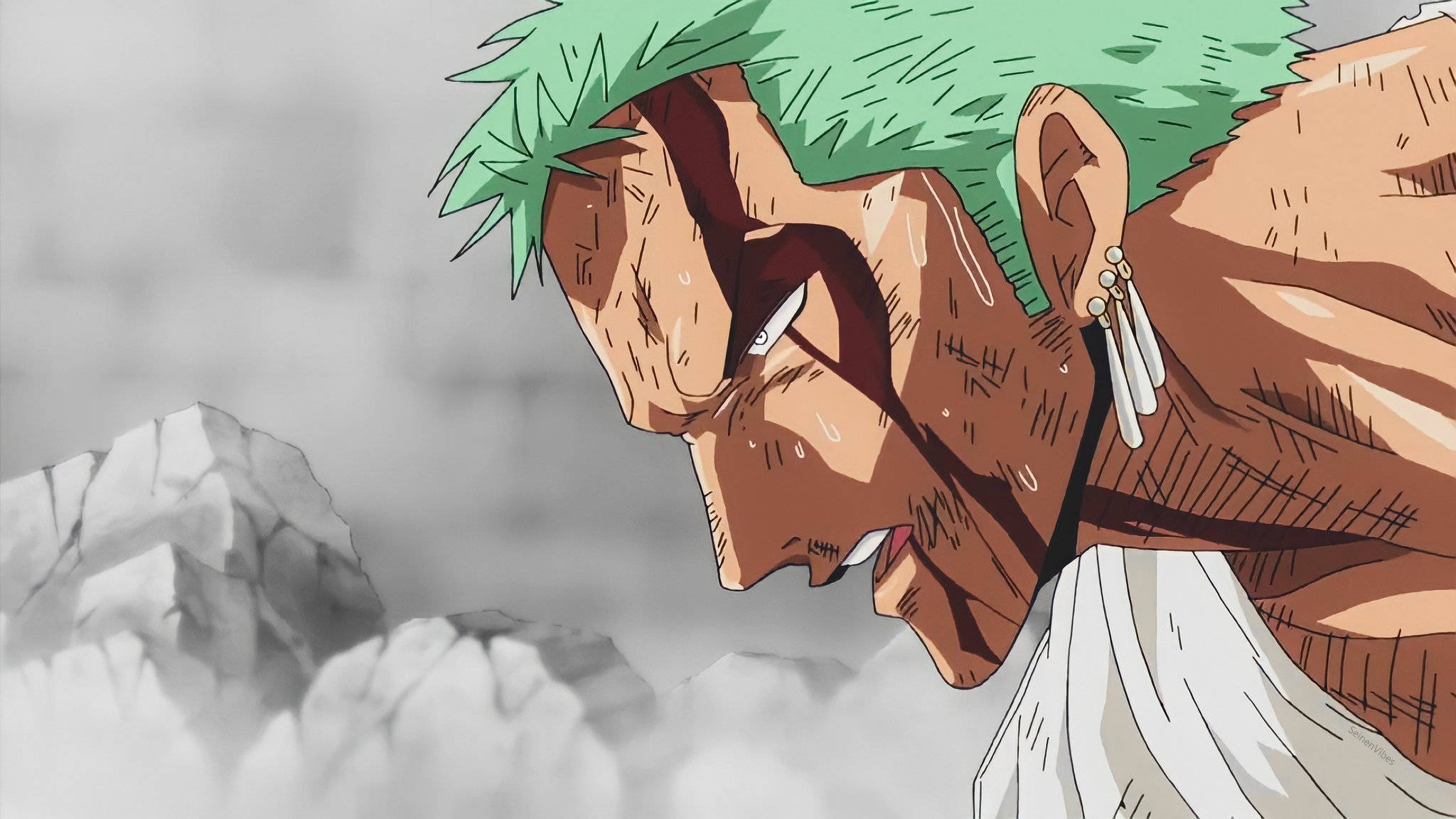 Zoro Pfp Wallpapers | WallpapersOK