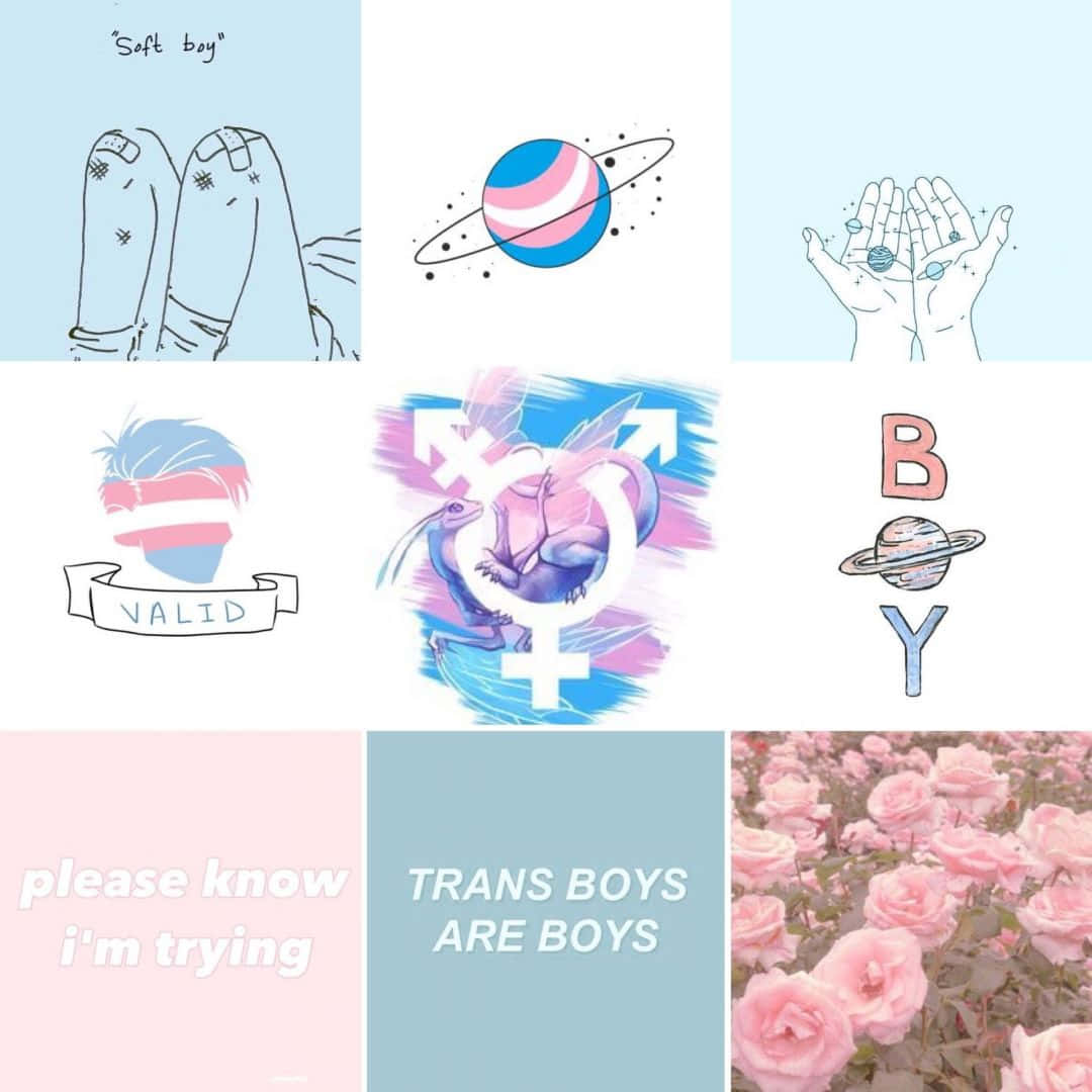Blue And Pink Trans Aesthetic Collage Wallpaper