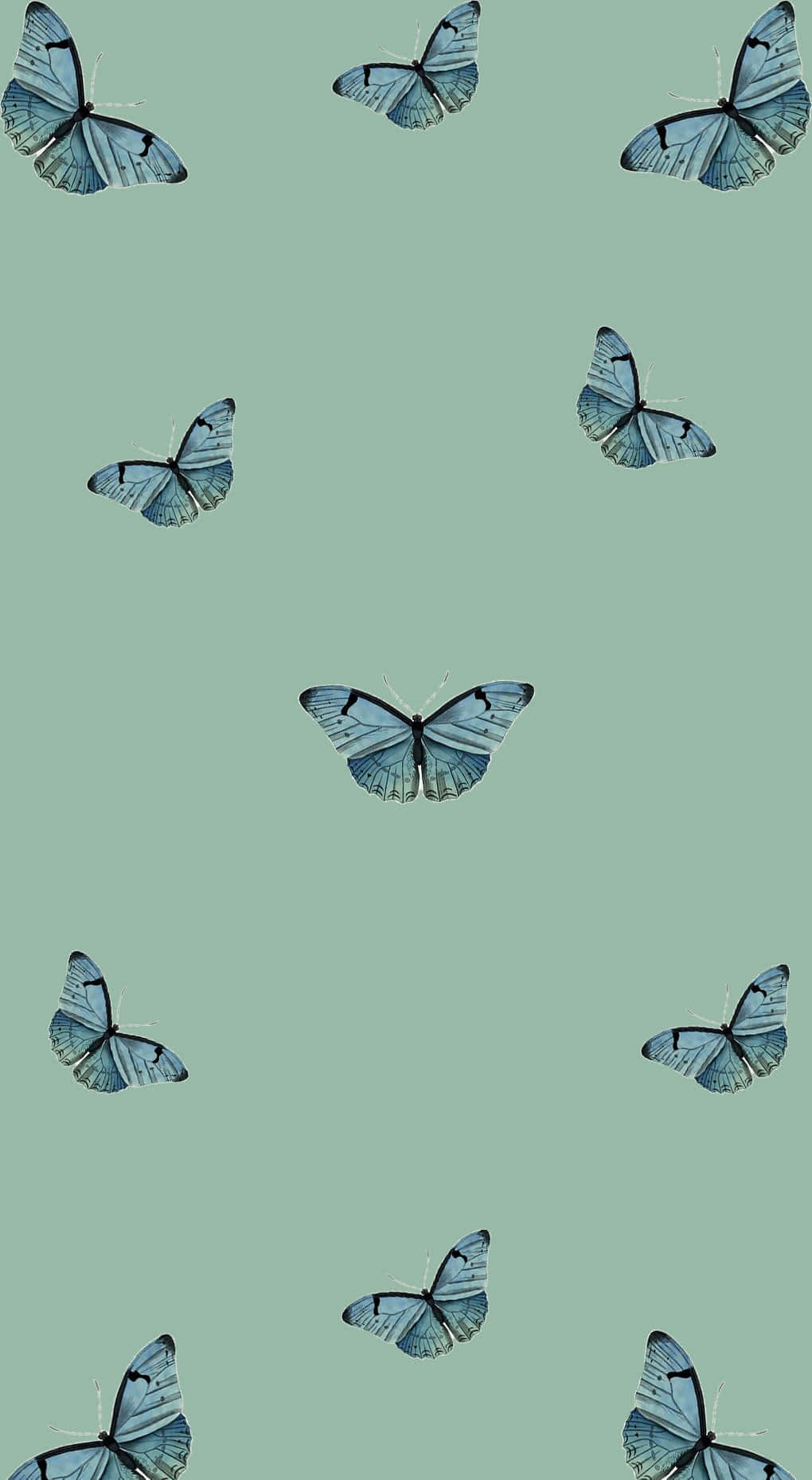 Blue Butterflies On A Cute Sage Green Surface Wallpaper