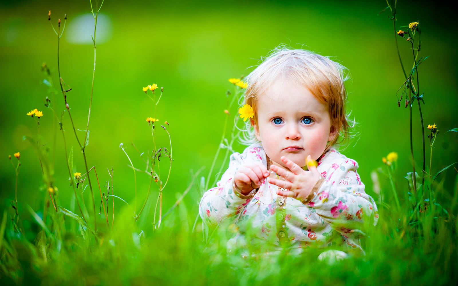 Blue Eyes Cute Baby Girl Wallpaper