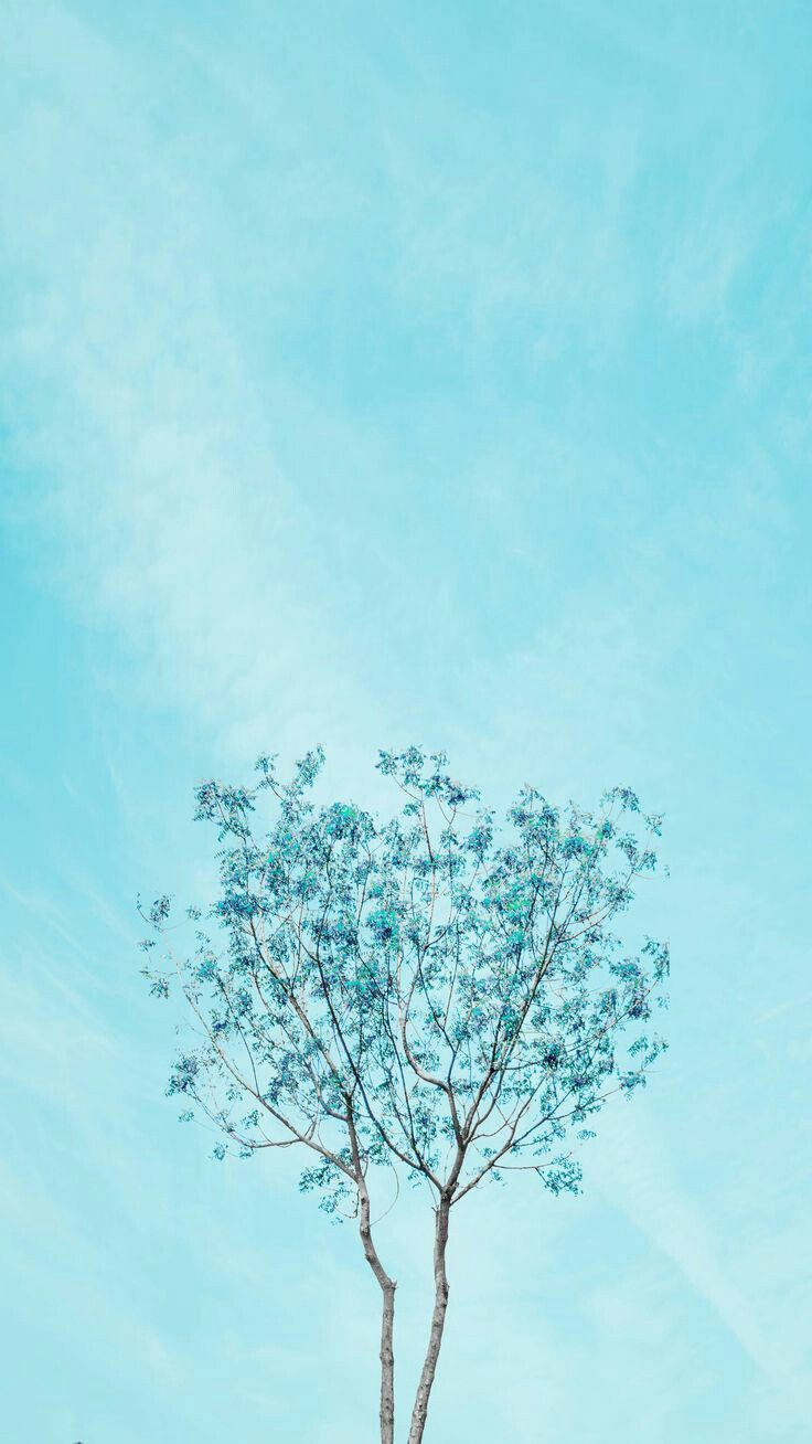 Blue Pastel Aesthetic Lone Tree Wallpaper