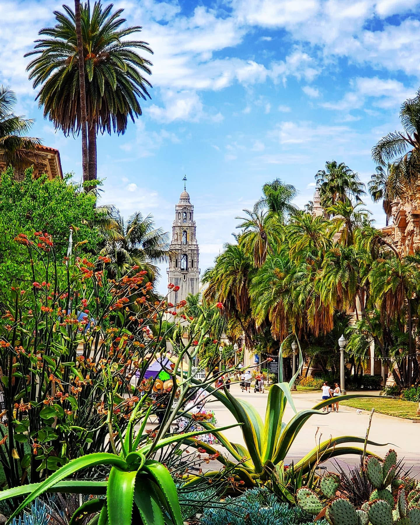 Botanic Garden At Balboa Park Wallpaper