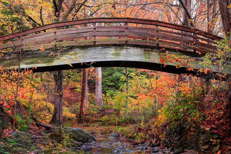 Botanical Garden North Carolina Wallpaper