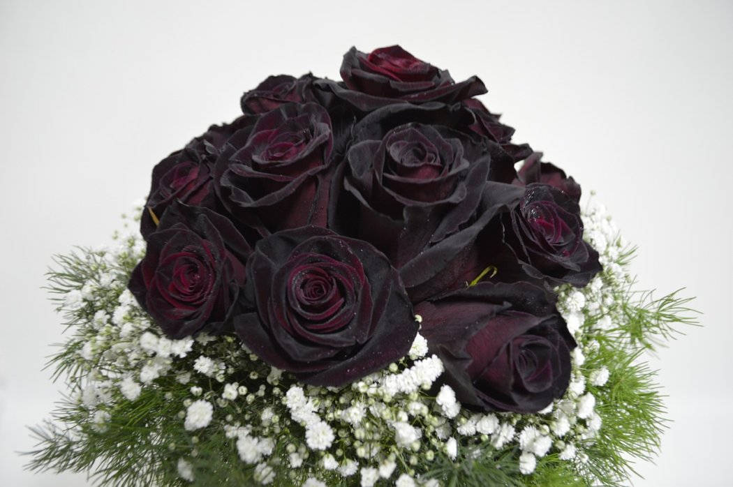 Bouquet Of Black Roses Wallpaper