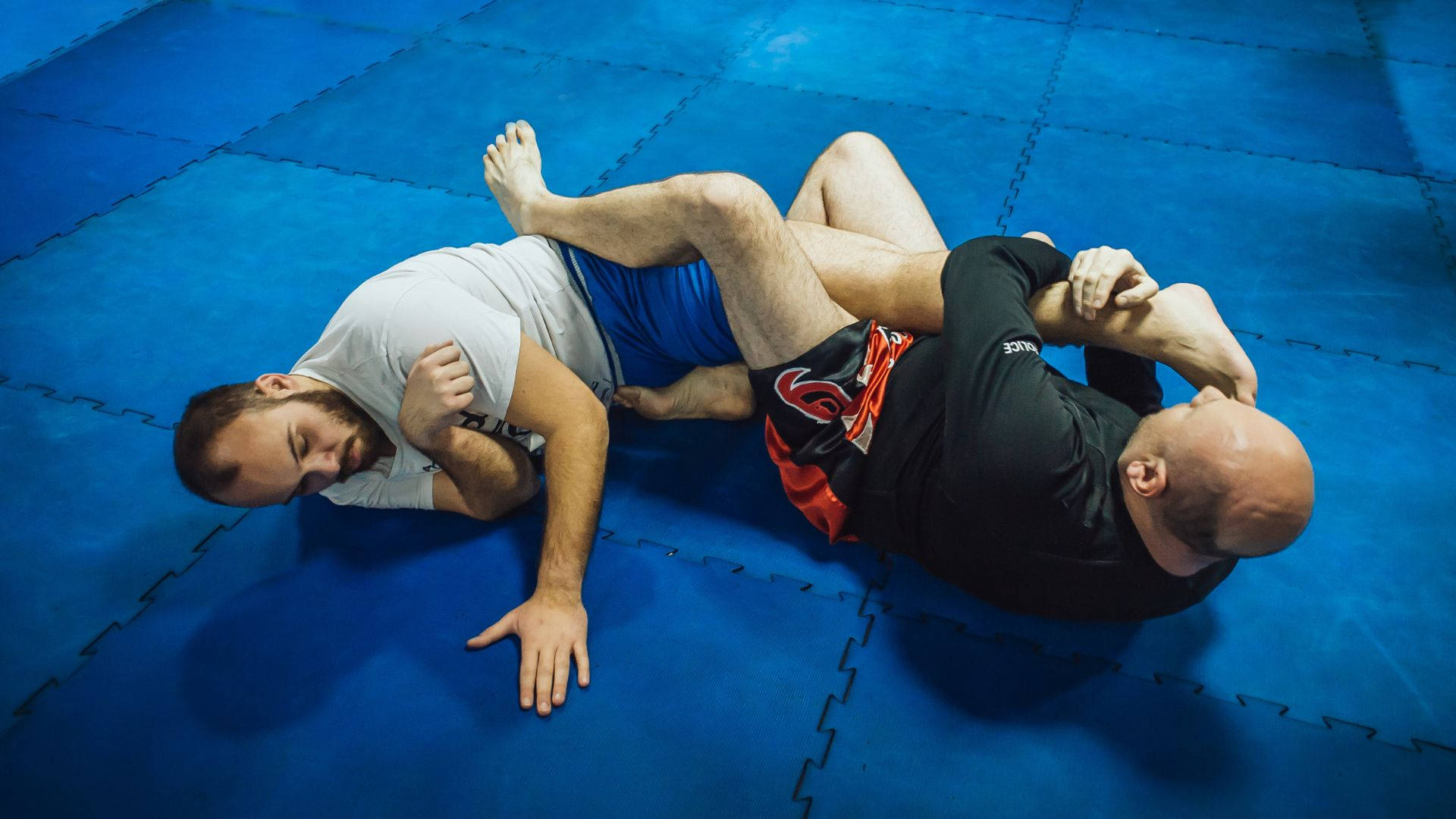 Brazilian Jiu-jitsu Sports Practice Leg Lock Wallpaper