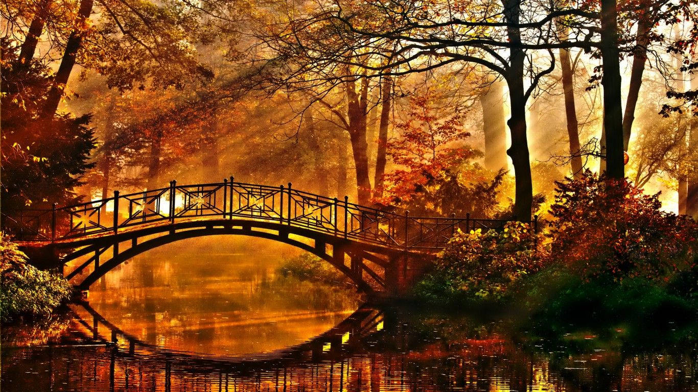 Bridge During Fall Season Wallpaper