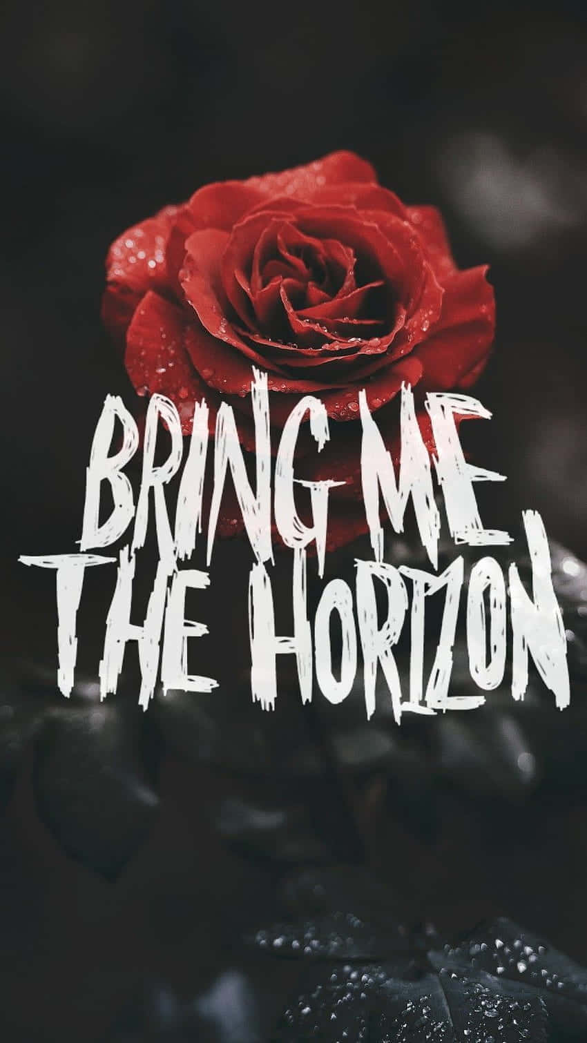 Bring Me The Horizon Rose Graphic Wallpaper