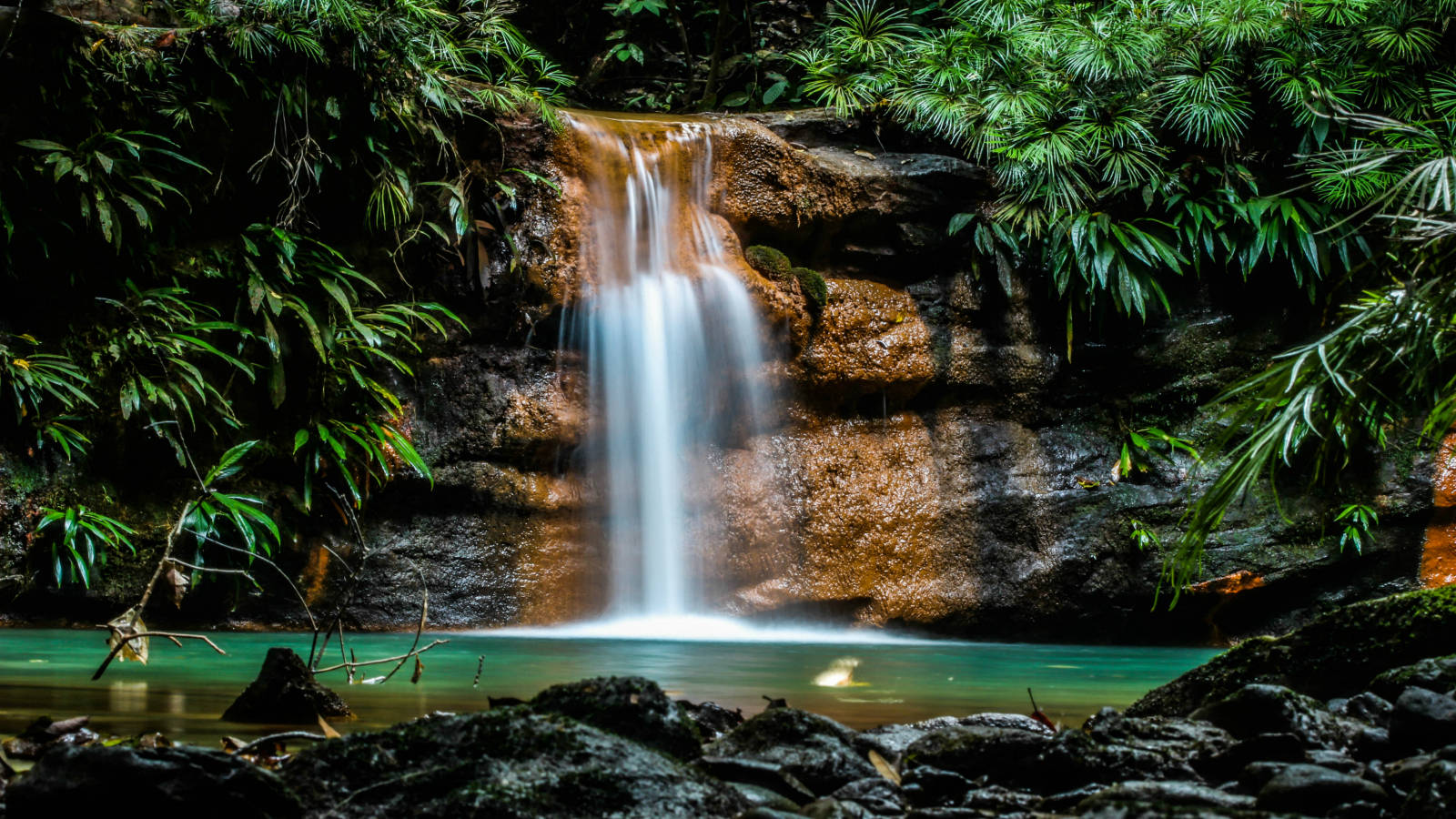 Brunei Stunning Rainforest Wallpaper