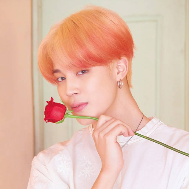 Bts Jimin Holds A Rose Wallpaper