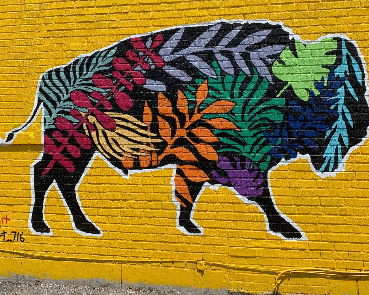 Buffalo Street Art Wallpaper