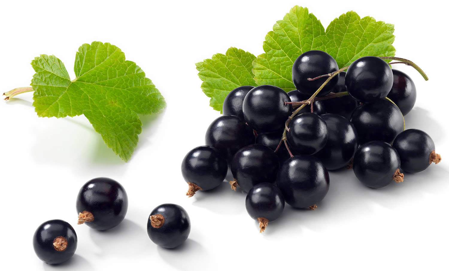 Bundle Of Blackcurrant Wallpaper