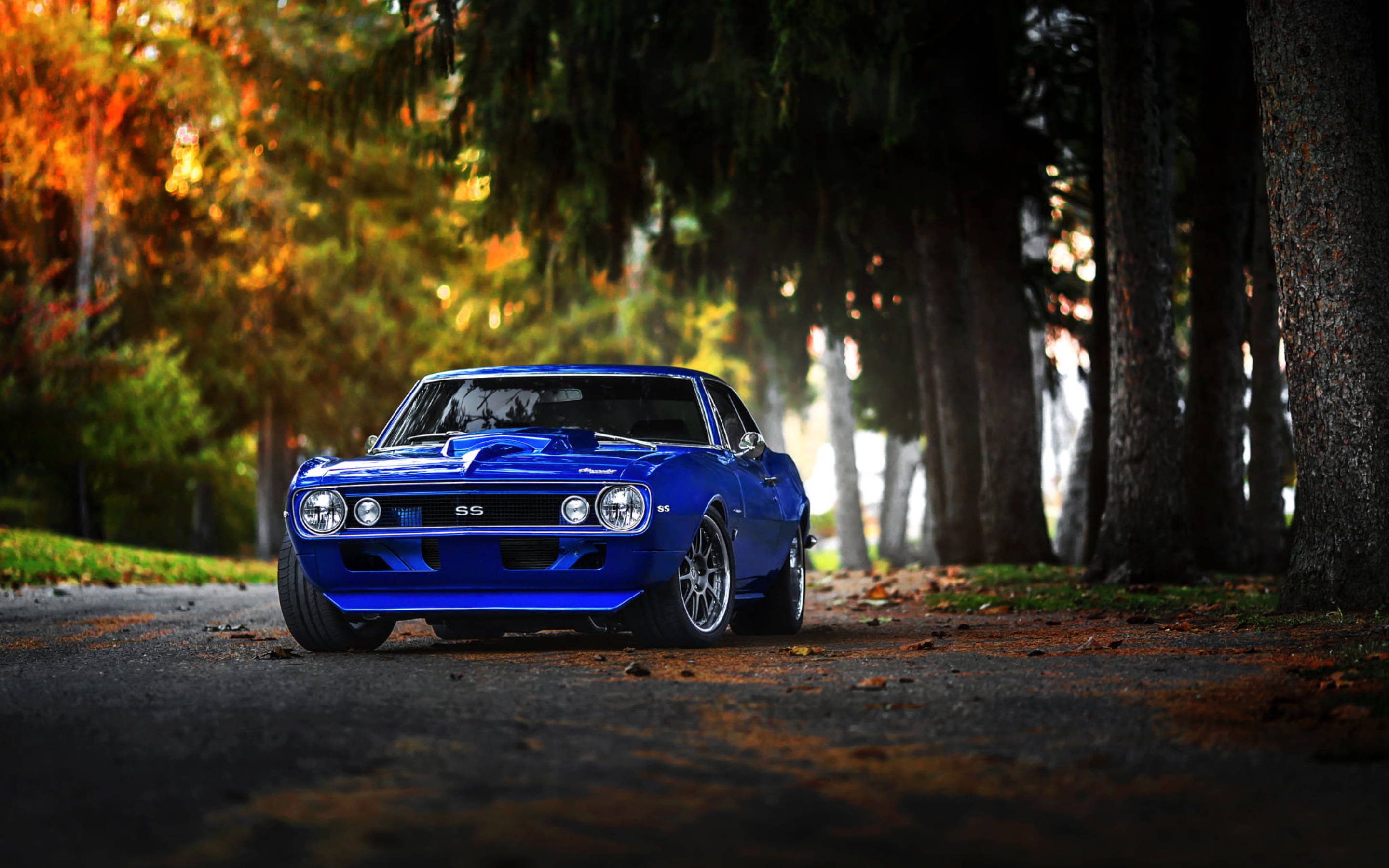 Camaro Muscle Cars Eco-friendly Wallpaper