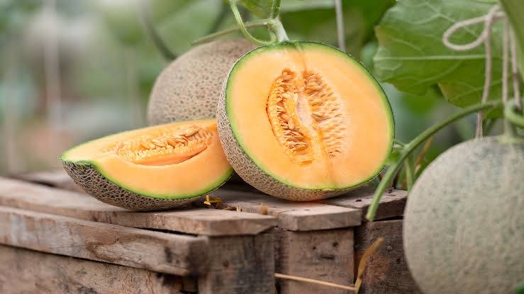 Cantaloupe Table Wallpaper