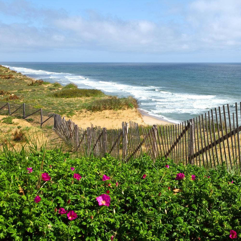 Cape Cod Flowers By The Fence Wallpaper