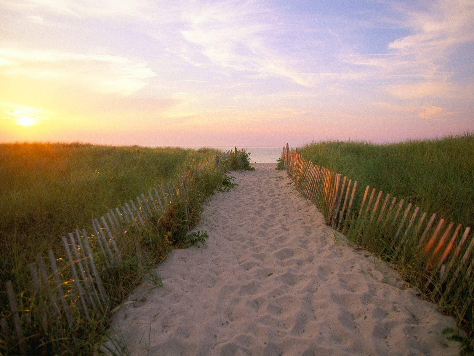 Cape Cod Sandy Road Wallpaper